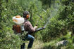 Imagen de Moto Pulverizador A Nafta De Mochila 56.5cc Stihl Sr 420