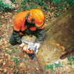 Imagen de MOTOSIERRA 91.1 CC  5.0KW  7.4HP  50CM  MS651 STIHL