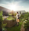 Imagen de Pulverizador Fumigador Manual - 5 Lts Stihl Sg 31